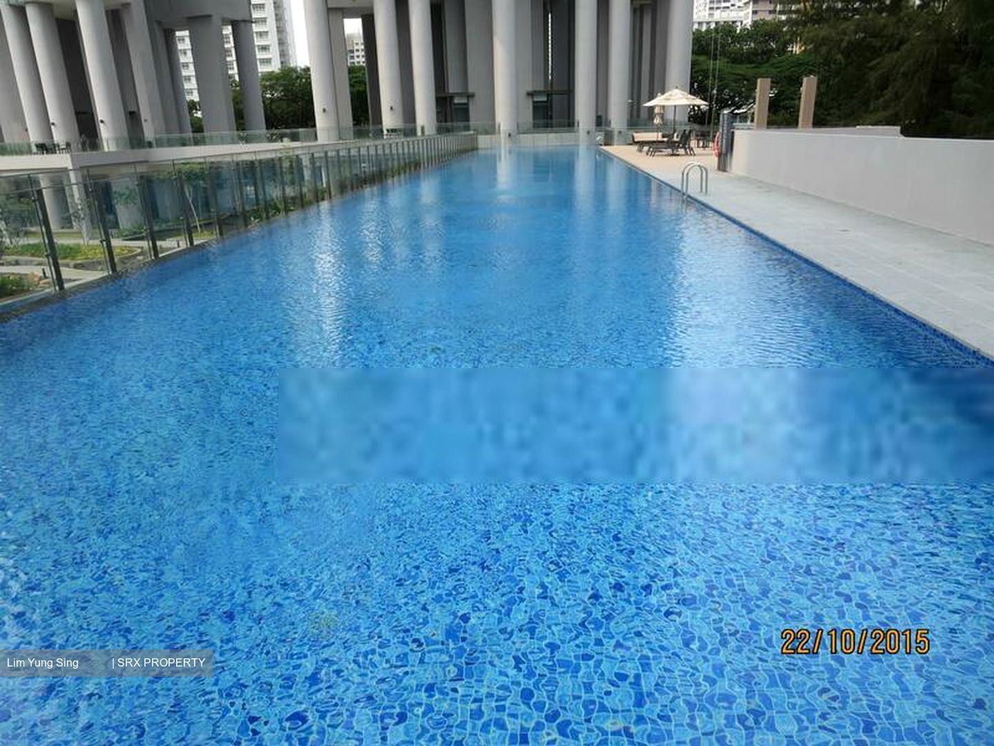 Skyline Residences (D4), Condominium #408381601